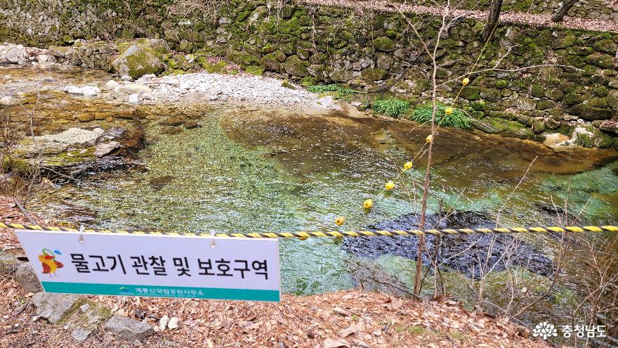 <국립공원 계룡산 산책로> 보물찾기!!! 사진