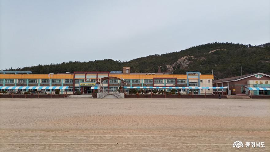 태안초등학교 교정 모습