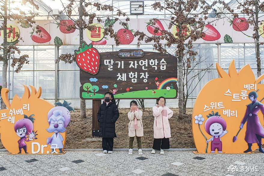 딸기와 함께하는 논산여행, 즐길거리가 가득한 논산 사진