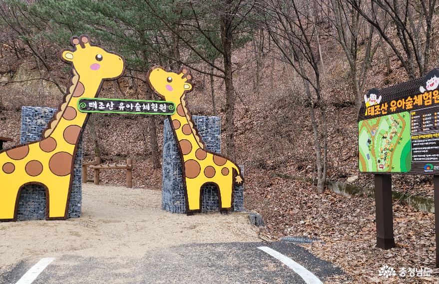 천안 태조산공원 유아 숲 체험원.