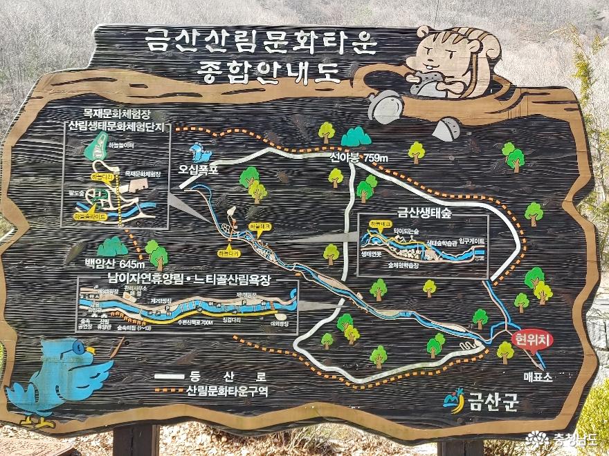 중부권 최고의 산림힐링단지 금산산림문화타운 사진