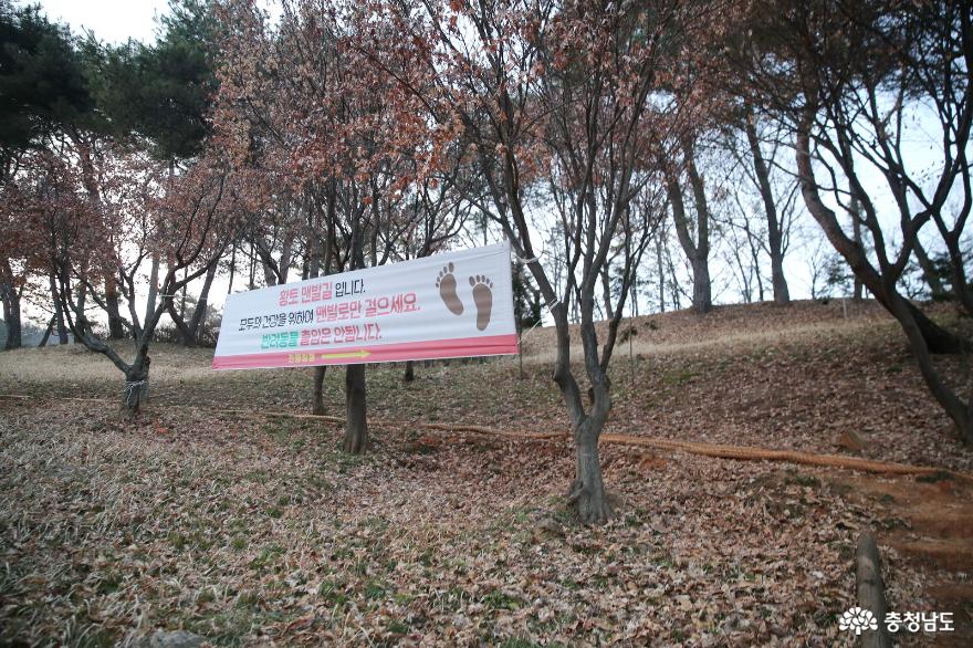 계룡시의7계절정원중애국가정원이조성되는새터산을걷다 5