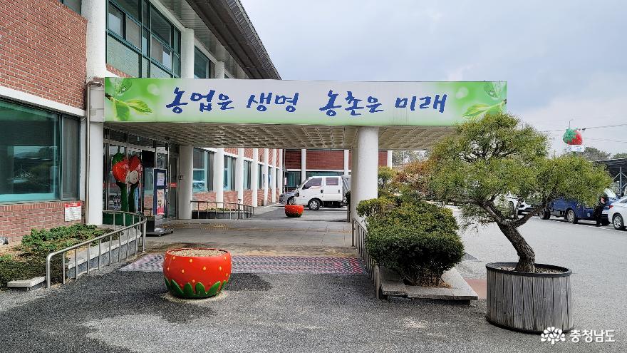 논산딸기축제를맞아방문한논산시농업기술센터 6