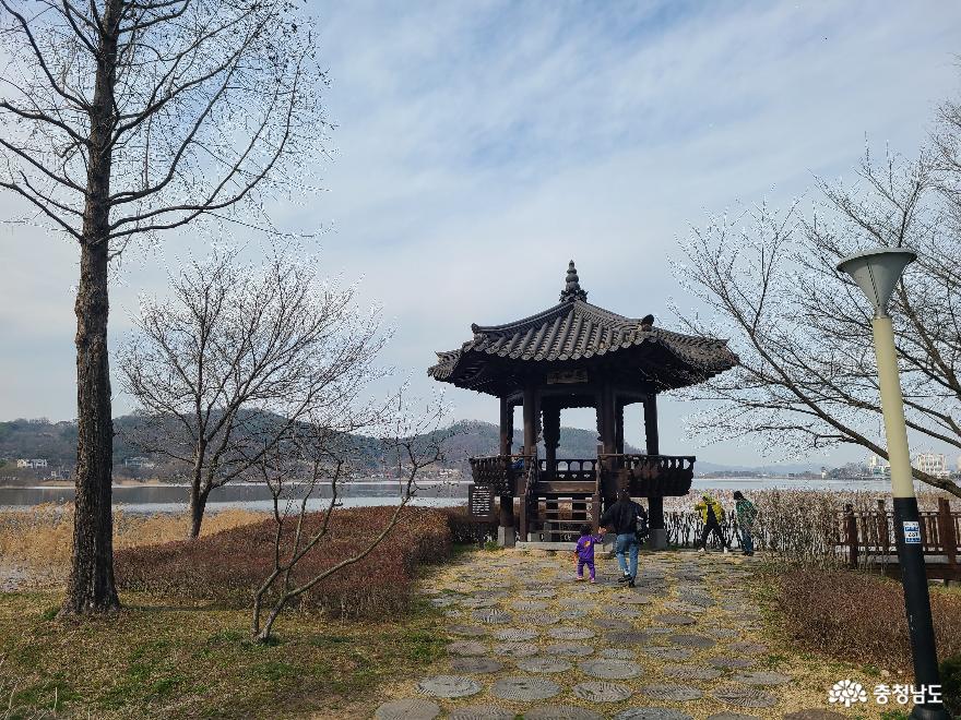 아산 신정호수공원에서 봄을 맞이하다 사진