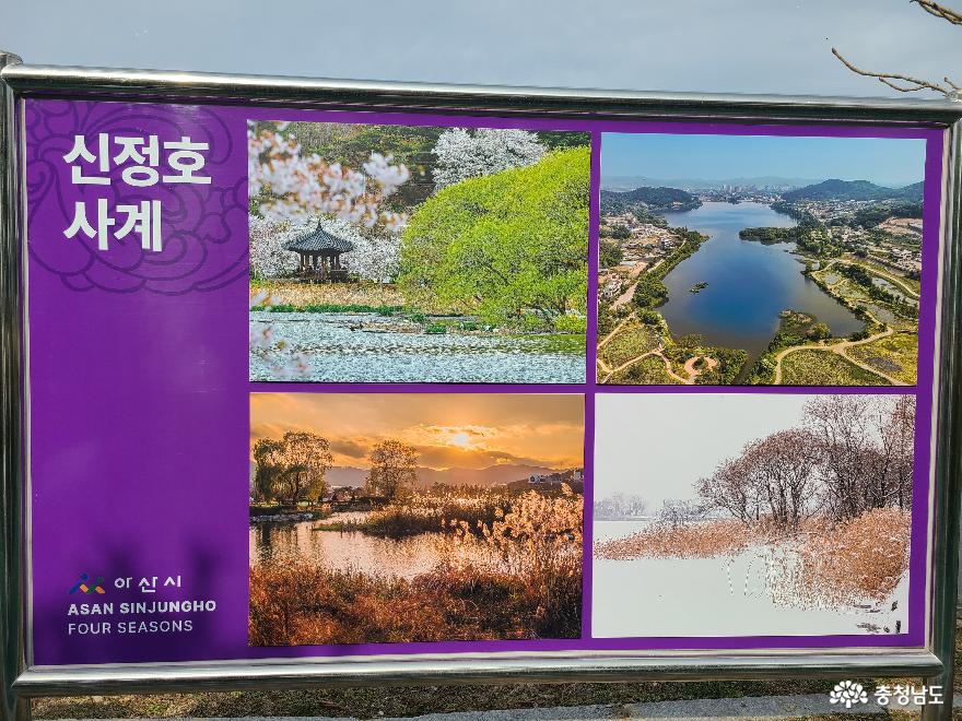 아산신정호수공원에서봄을맞이하다 24