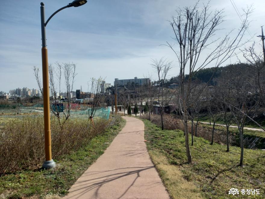 가벼운 봄 산책 코스 - 샘골도시공원 사진