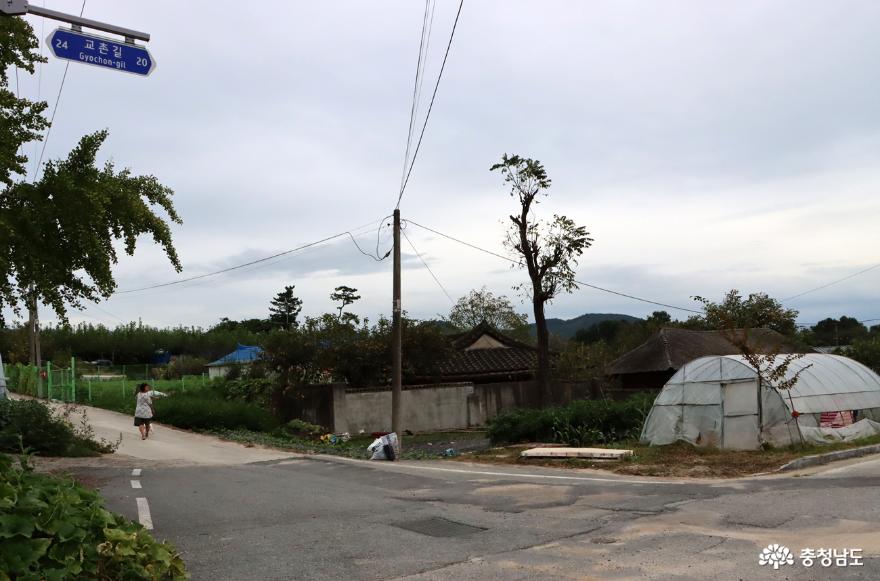 교촌리 큰댁과 학교, 앞술막 사람들 이야기 사진