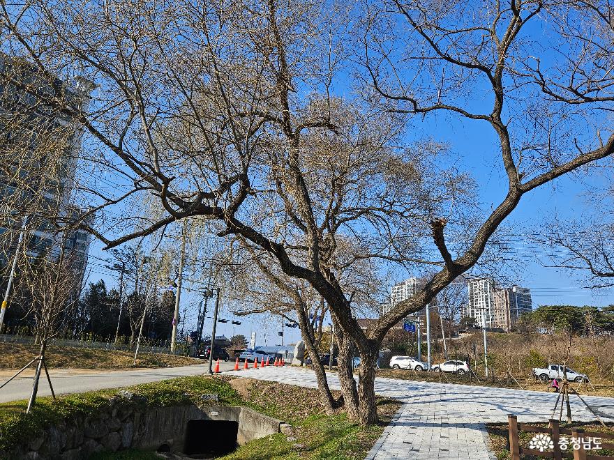 특별한 공원을 만나다, 홍성역재방죽공원 사진