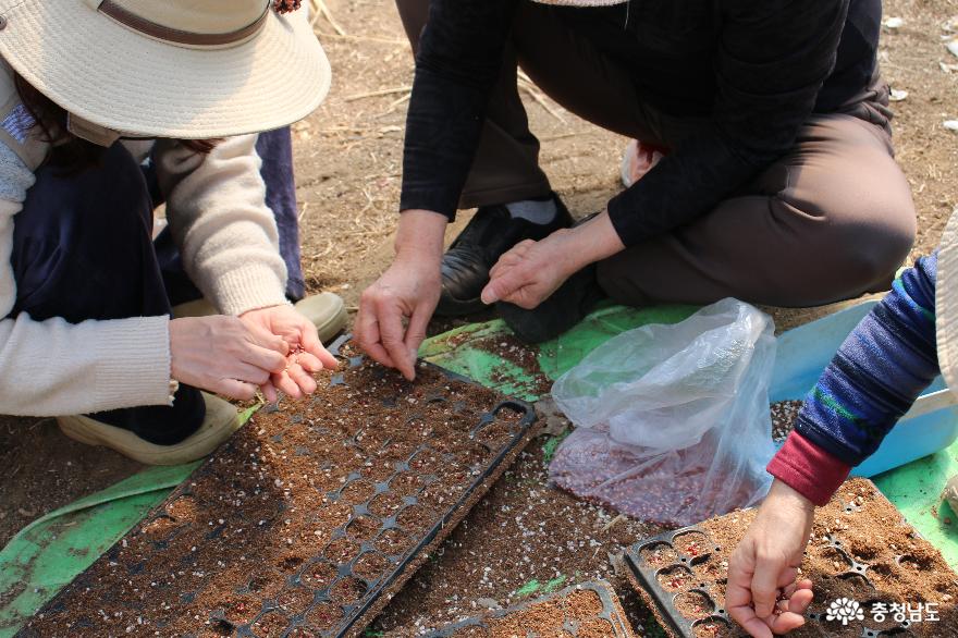 토종 작물로 맛의 기억을 찾아 나누며 토종씨앗을 지키고 보존하는 우리씨앗연구소 사진