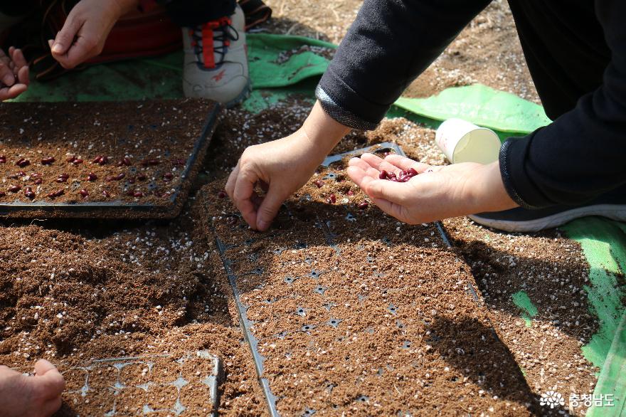 토종 작물로 맛의 기억을 찾아 나누며 토종씨앗을 지키고 보존하는 우리씨앗연구소 사진