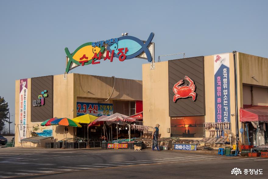 충남관광