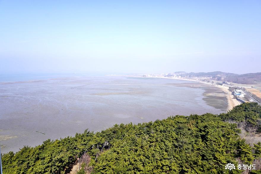 홍성속동갯벌마을천수만전망대미리가본홍성스카이타워 10