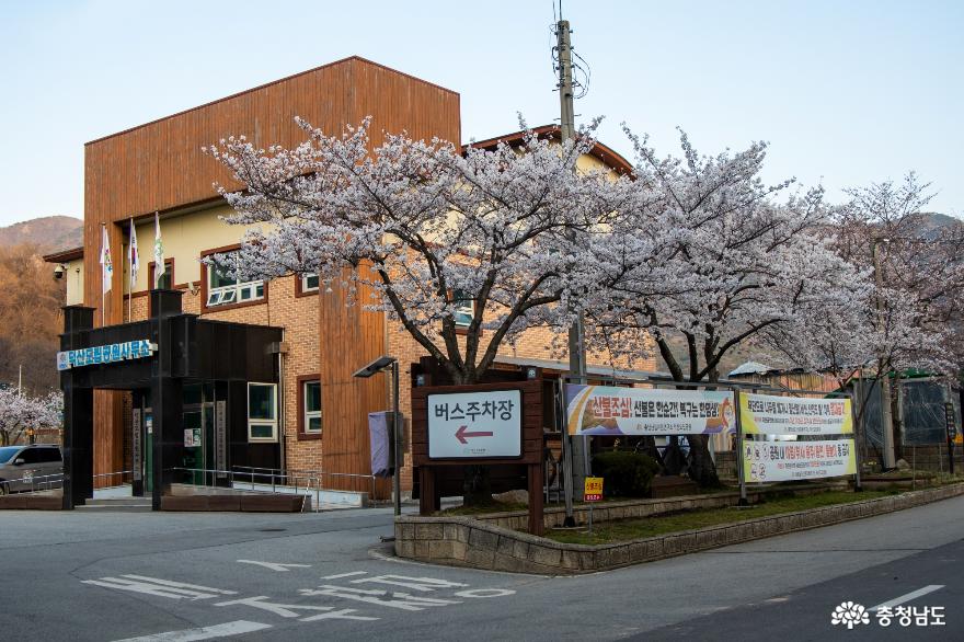 벚꽃이 아름다운 가야산 가는길 사진