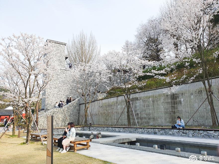 벚꽃이 예쁜 공주 충청남도역사박물관에 다녀왔어요 사진