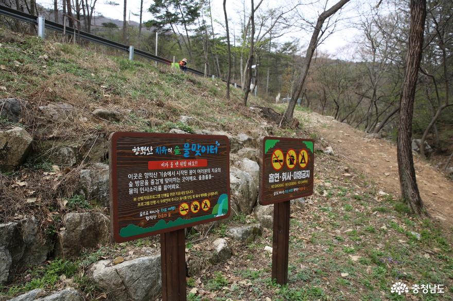 2024년 산림청 지정 생태숲으로 자리한 계룡시 향적산과 벚꽃 사진
