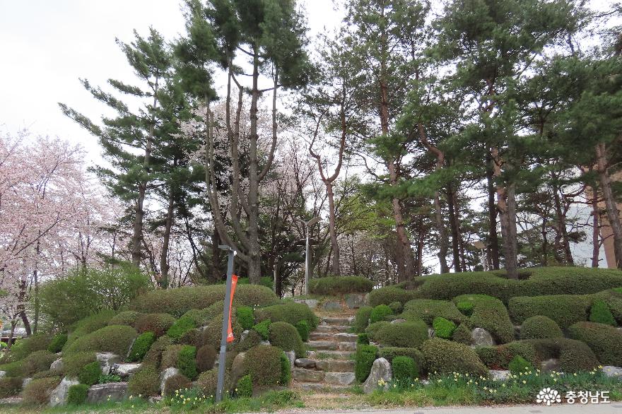 덕산온천 관광지를 걸으며 만나는 특별한 4월 봄 이야기 사진