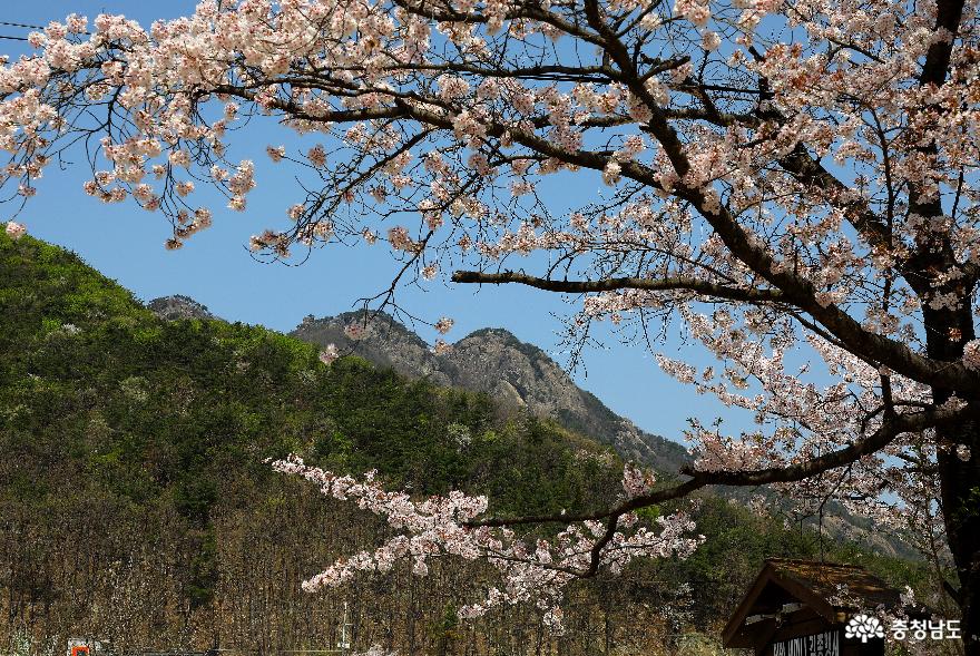 일본자기의시조이삼평1655공기념비의봄 20