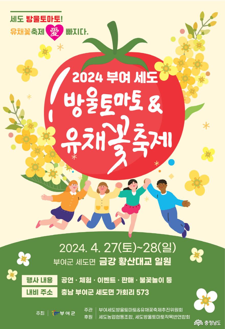 축제 개막전 미리 다녀온 부여세도 방울토마토 유채꽃 단지 사진