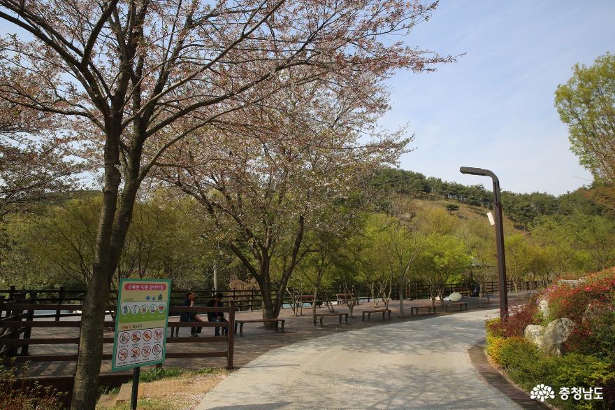 흙의 질감과 다채로운 봄 꽃을 만나볼 수 있는 삼선산 수목원 사진