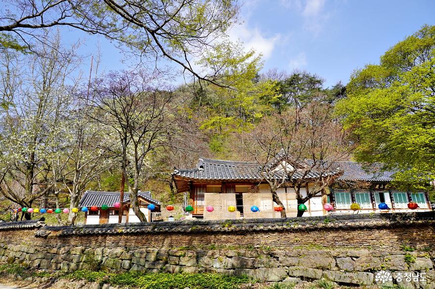 춘마곡추갑사,  공주 태화산 마곡사의 봄은 화려했다 사진