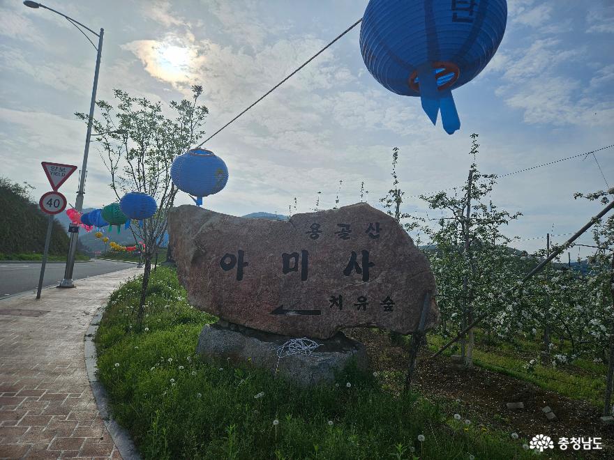 충청남도 유일의 국립 기관, 예산군 치유의 숲 사진