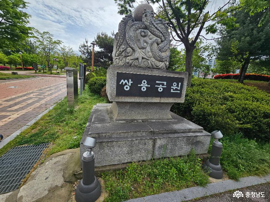 영산홍이 만개한 천안 3대공원 쌍용공원