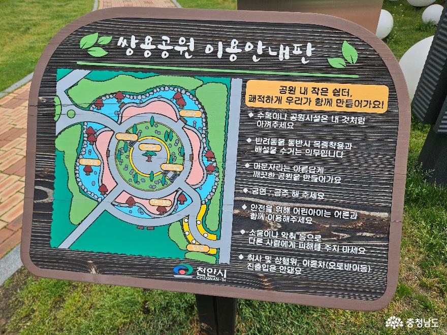 영산홍이만개한천안3대공원쌍용공원 10
