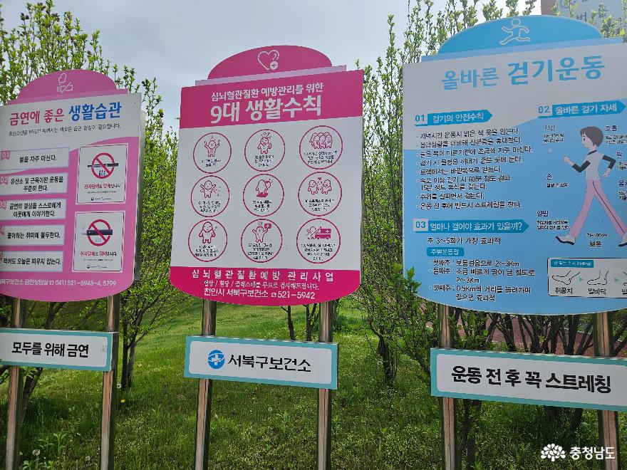 영산홍이만개한천안3대공원쌍용공원 19