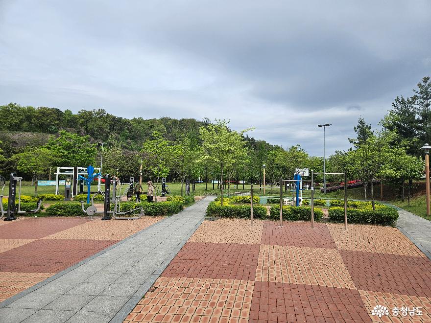 영산홍이만개한천안3대공원쌍용공원 26