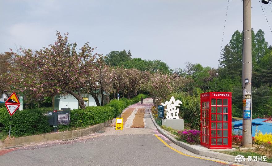 완연한 봄 산책길 - 당진  남산공원