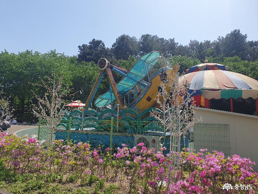 충남에 이렇게 좋은 놀이공원이 있었다니! 천안 상록리조트 상록랜드로 go! 사진
