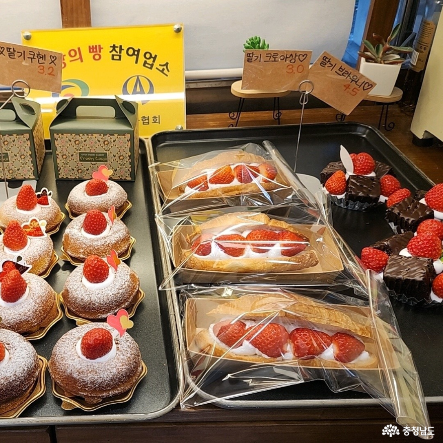 먹거리 - 충남 천안의 빵축제, 베리베리빵빵데이 방문기 - 충청남도 충남 천안의 빵축제, 베리베리빵빵데이 방문기