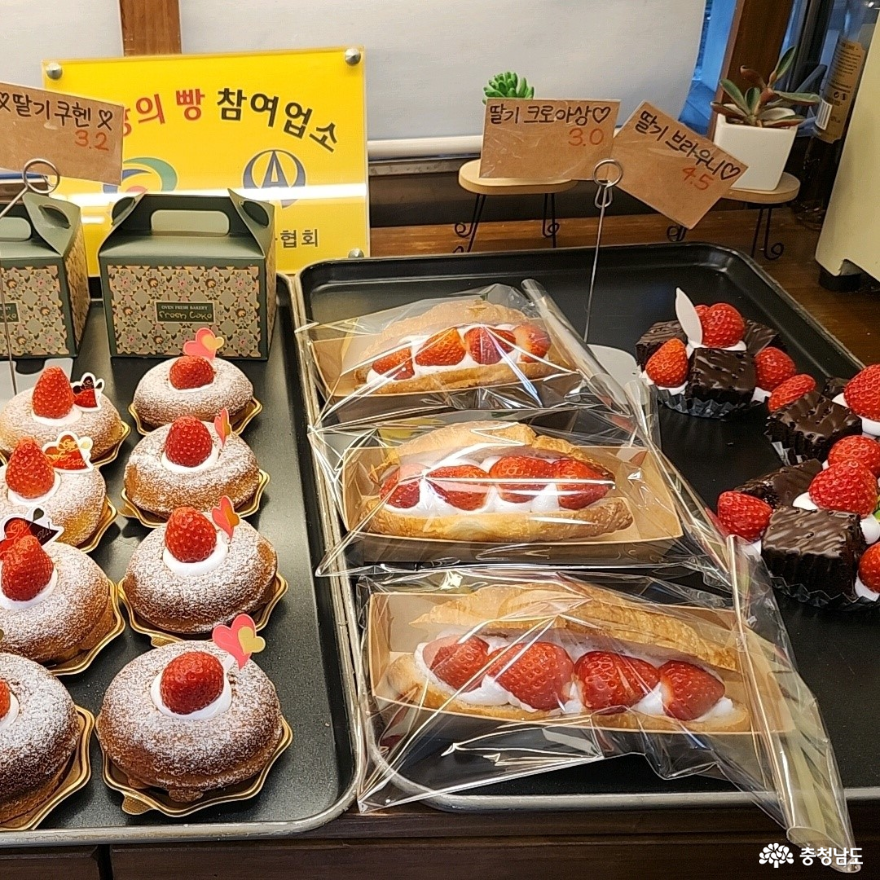 충남 천안의 빵축제, 베리베리빵빵데이 방문기 사진