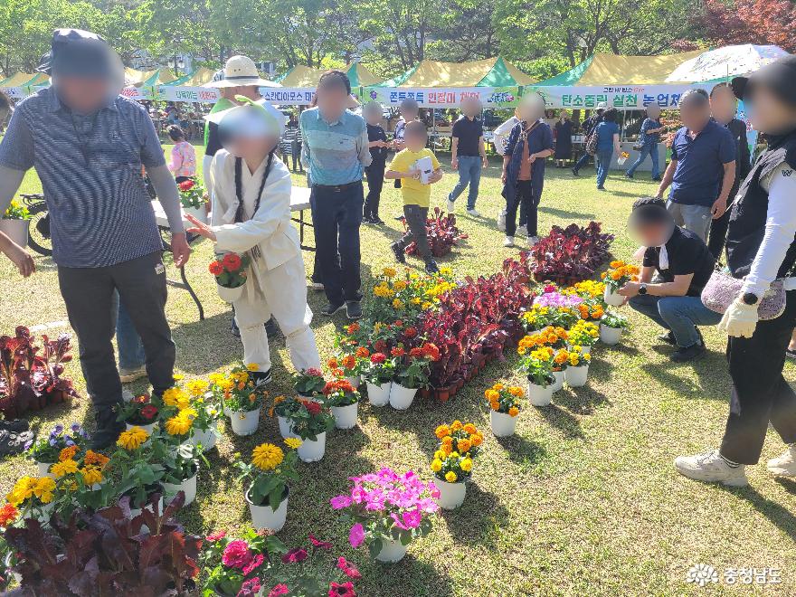 다채로운 봄꽃과 채소 모종을 나눠졌던 행사