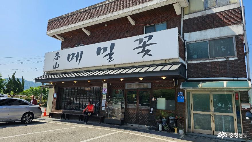 여행 - 공주 춘산 메밀꽃을 아시나요??? - 충청남도 공주 춘산 메밀꽃을 아시나요???