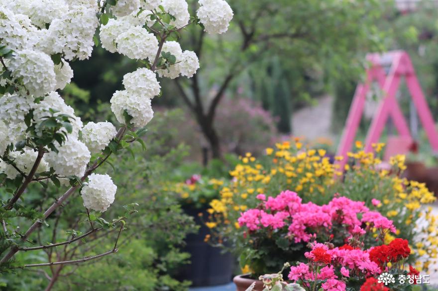 천안 힐링 명소, 아름다운 정원 화수목