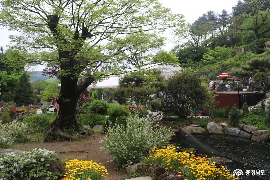 충남관광