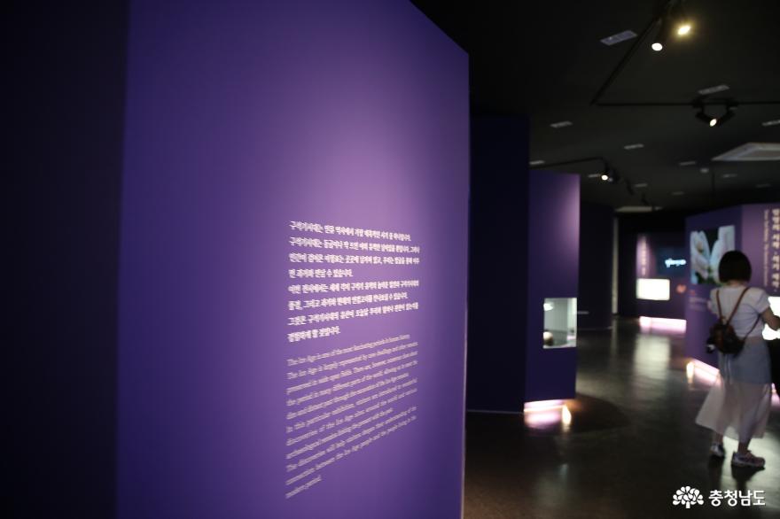 석장리 박물관의 60주년 특별기획전 '구석기, 위대한 발견' 사진