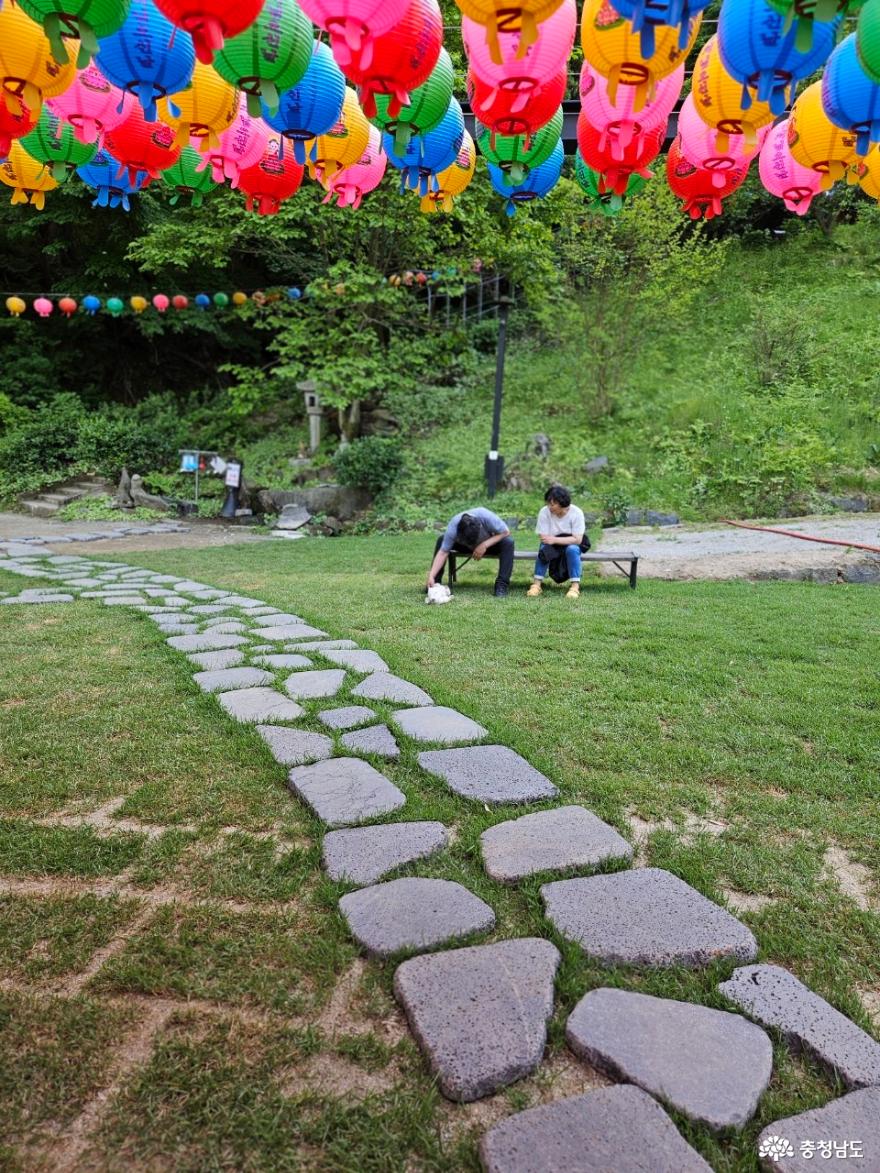 봄의 산책, 아산 봉곡사 사진