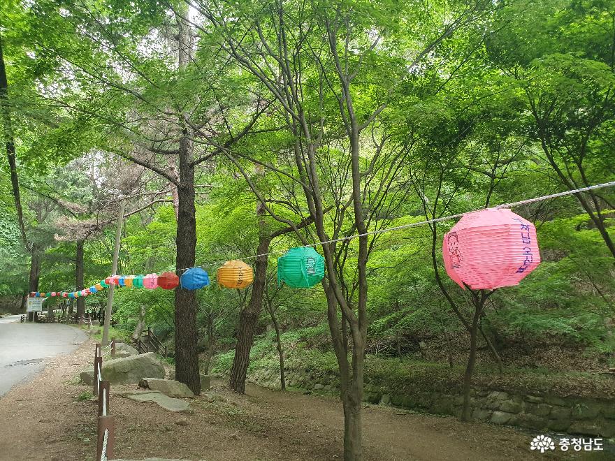 부처님 오신날에 방문한 의미 있는 장소 홍성 '용봉사'