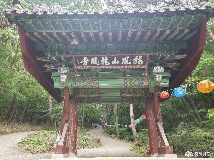 부처님 오신날에 방문한 의미 있는 장소 홍성 '용봉사' 사진