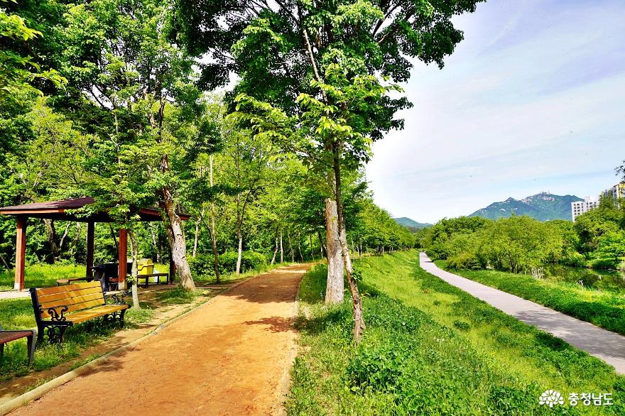 계룡 힐링 걷기좋은길 두계천 생태공원 황톳길, 입암저수지 수변산책로