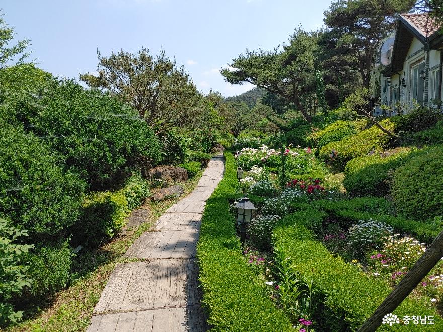충남관광