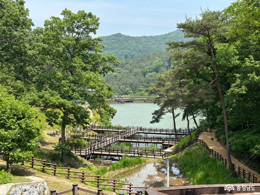 여행 - 공주 산림휴양마을 , 환경성건강센터 방문후기 - 충청남도 공주 산림휴양마을 , 환경성건강센터 방문후기