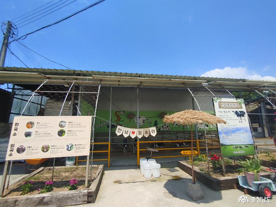 > > >충남관광 충남관광