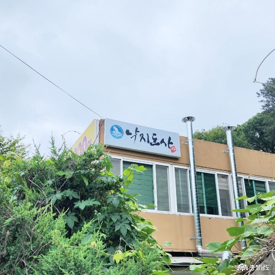 전체기사 - 충청남도 누리집(홈페이지) 충청남도 누리집(홈페이지)
