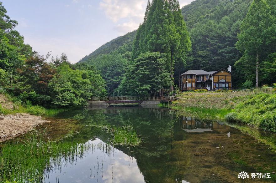 > > >충남관광 충남관광
