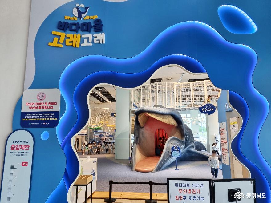 여행 - 해양 생물의 생태계를 볼 수 있는 서천 국립해양생물자원관 씨큐리움 - 충청남도 해양 생물의 생태계를 볼 수 있는 서천... 