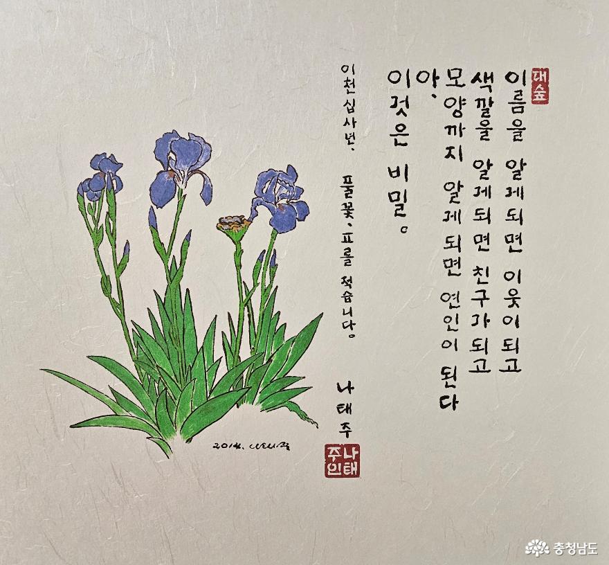 전체기사 - 충청남도 누리집(홈페이지) 충청남도 누리집(홈페이지)