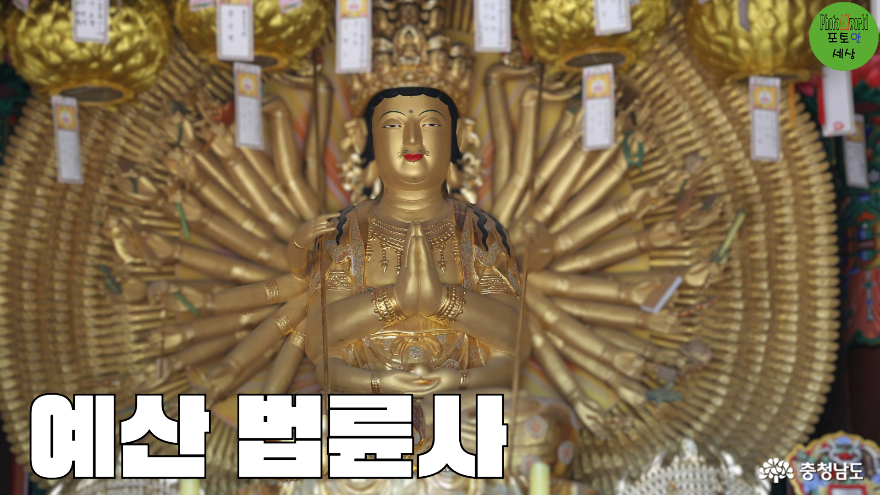 사진